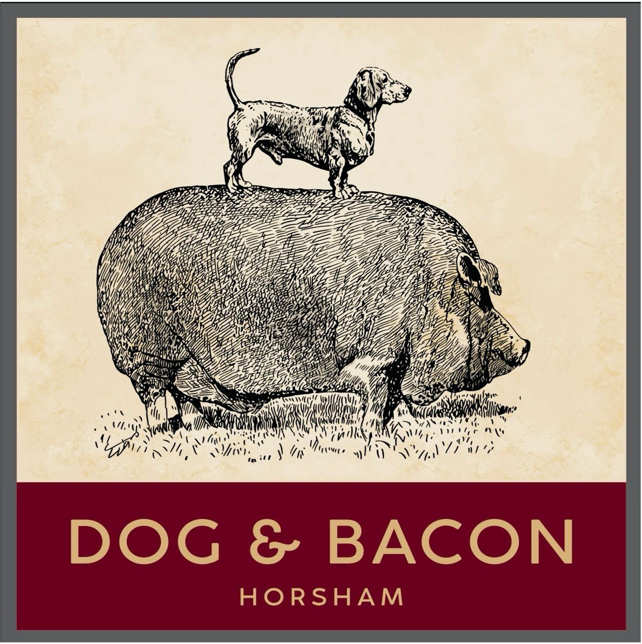 The Dog & Bacon